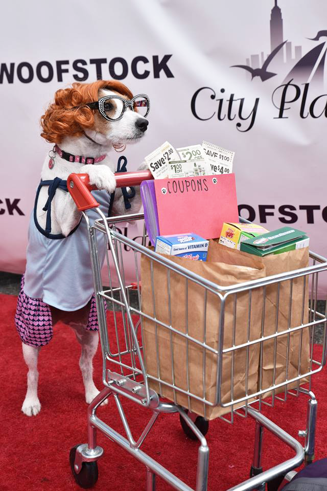 City Place - Woofstock 2017